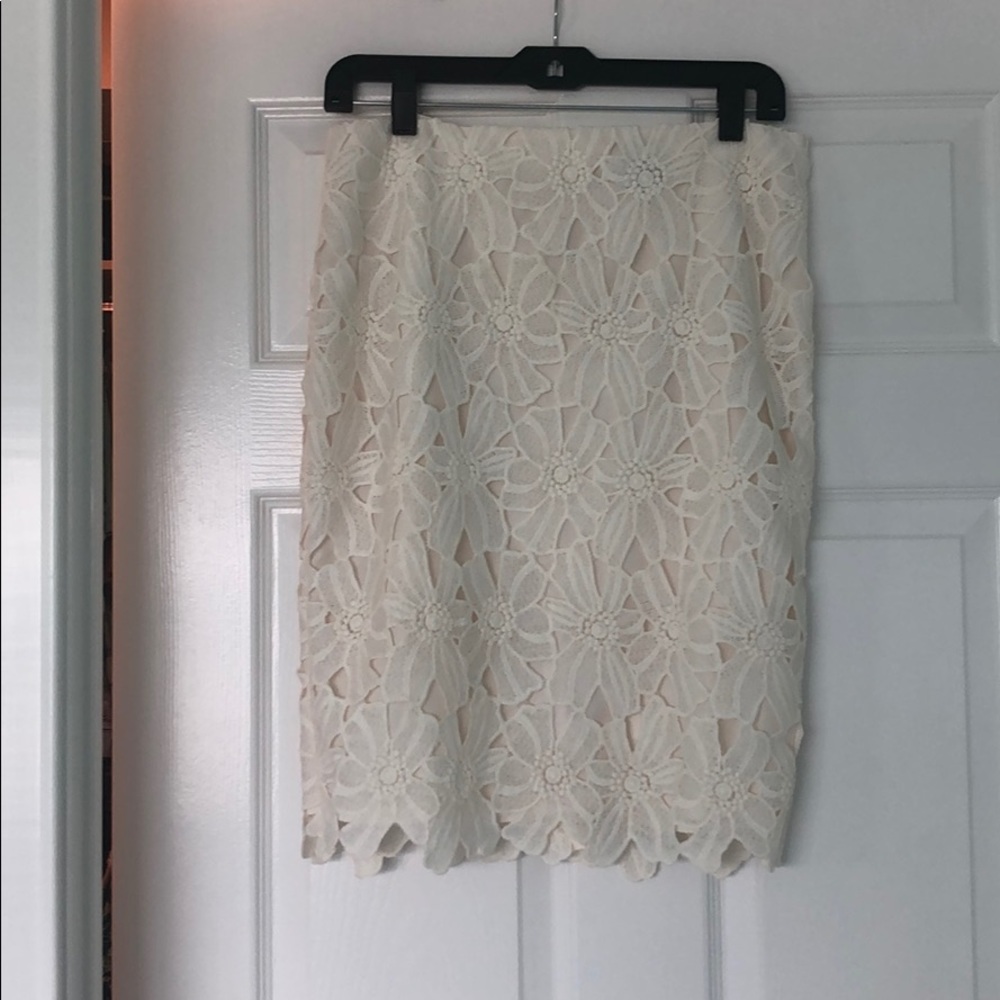 Ann Taylor Pencil Skirt